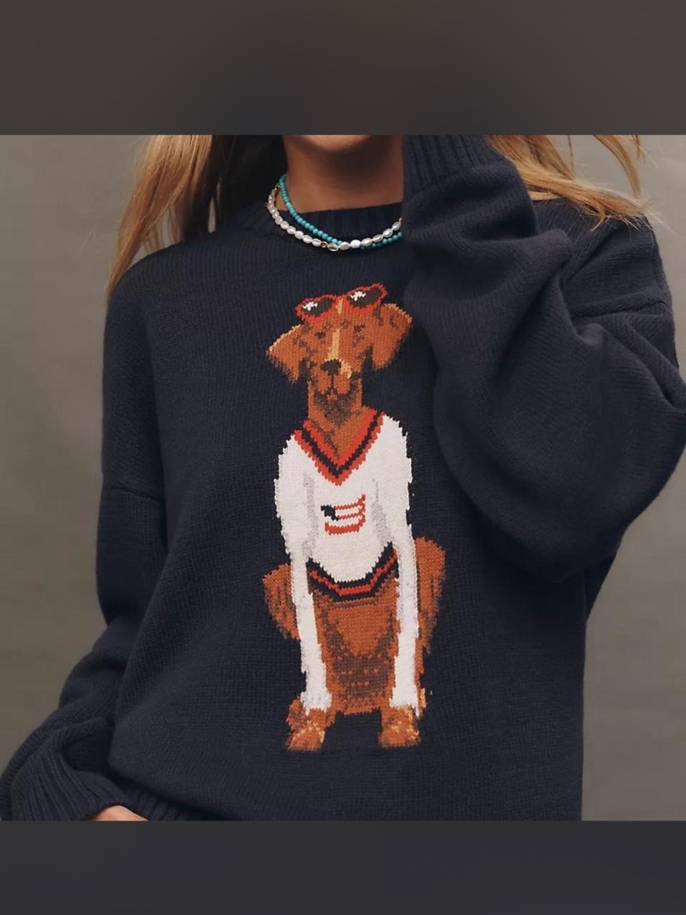 Anthropologie Porridge Jolene Americana Dog Pullover Sweater Size Large Comfy